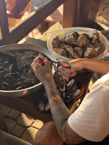 Ostras frescas dos cultivos da Lagoa da Conceição servidas no Toca da Lontra, Florianópolis